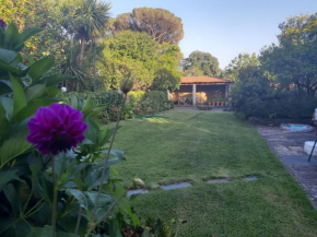 Quinta Drº Amarante
